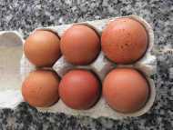 6 free range eggs locally sourced from robinsons farm at slaidburn